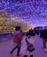 夜の外出　～クリスマスのライトアップ